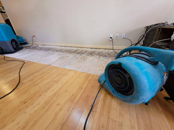 Professional Emergency Water Damage technician working in Gainesville, VA